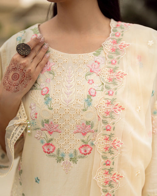 Naureh – Surkhab Festive Lawn Suit