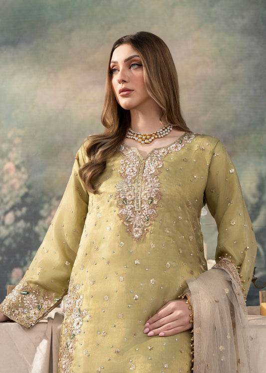 Haseens Official Sevgi Hayat Chiffon Collection