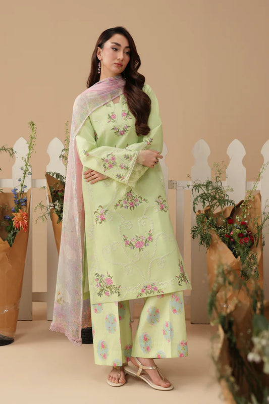 RajBari Jahaan Embroidered Lawn 3 Piece Unstitched Suit (11)