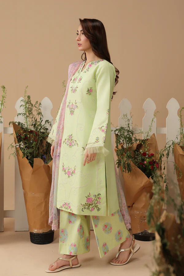 RajBari Jahaan Embroidered Lawn 3 Piece Unstitched Suit (11)