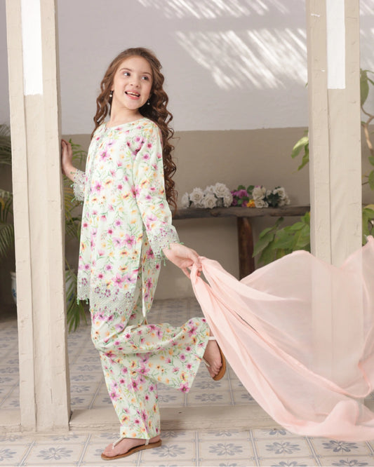 Shanzey Embroidered Lawn Stitched 3 Piece Suit - SHK-5301 (Mint) |Summer Collection 2026