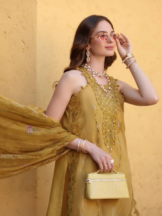 Noor Luxe Chikankari 3-Piece Unstitched Lawn Embroidered Suit (D2 - B)