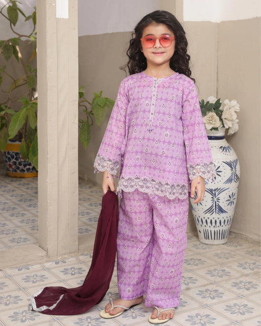 Shanzey Embroidered Lawn Stitched 3 Piece Suit – SHK-5302 (Lilac) | Summer Collection 2026
