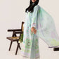 Roheenaz Rosette 3-Piece stitched Lawn Suit (Cool Mirage)