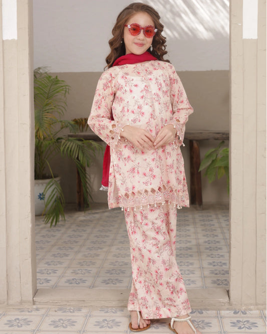 Shanzey Embroidered Lawn Stitched 3 Piece Suit – SHK-5303 (Baby Pink) | Summer Collection 2026