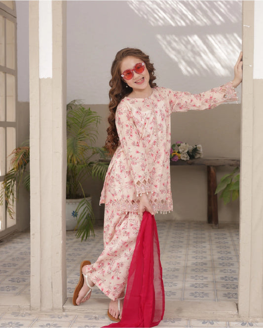 Shanzey Embroidered Lawn Stitched 3 Piece Suit – SHK-5303 (Baby Pink) | Summer Collection 2026