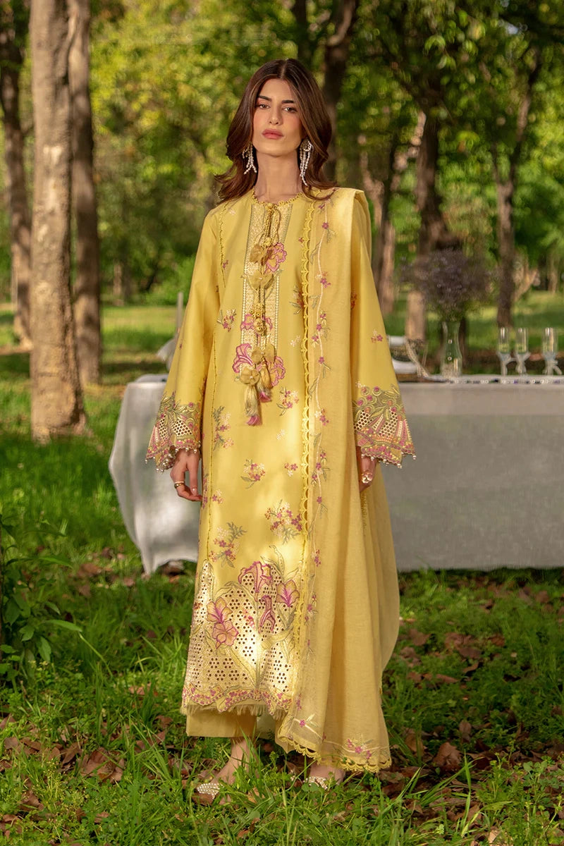Rangrasiya Unstitched