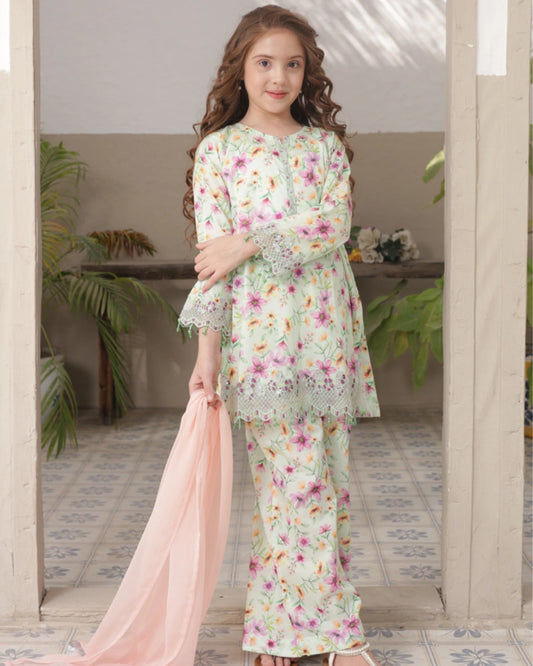 Shanzey Embroidered Lawn Stitched 3 Piece Suit - SHK-5301 (Mint) |Summer Collection 2026