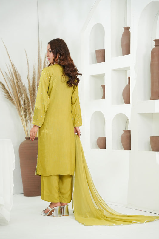 Dhani Embellished  Cotton Silk   – 3PC Stitched Suit