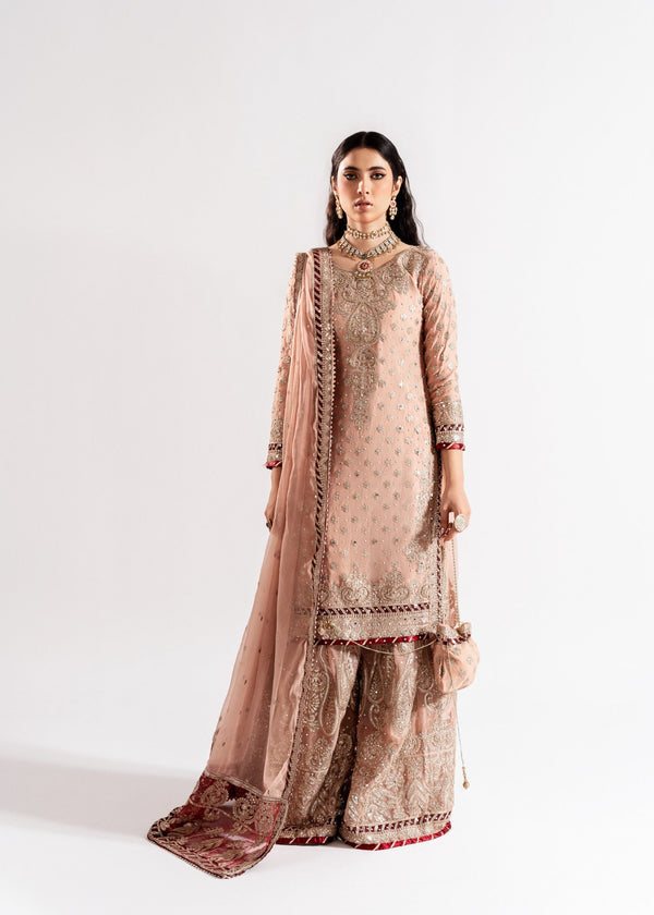 Haseens official Pink Ready to wear Chiffon Collection