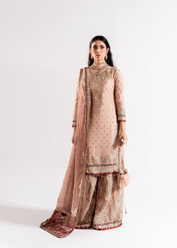 Haseens official Pink Ready to wear Chiffon Collection