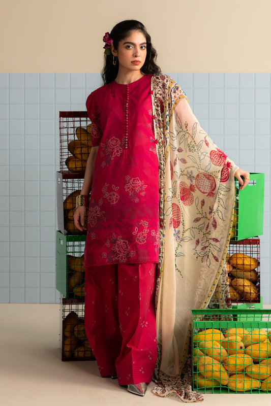 Coco by Zara shahjahan Kina-6B Prints Edit III 25