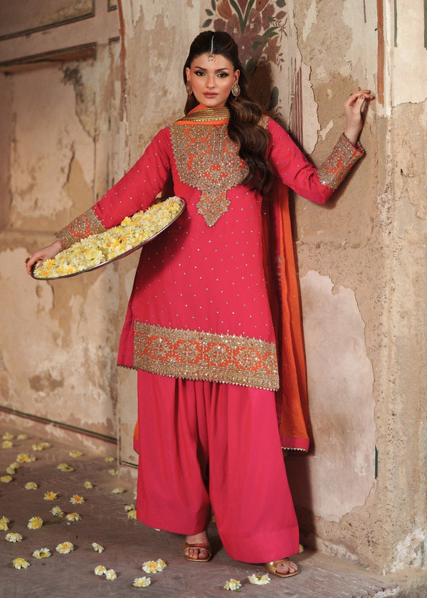 Haseens Official Jashan shocking Pink Chiffon Collection