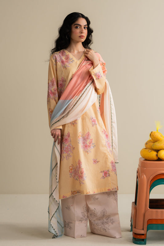 Coco by Zara shahjahan Ovela-1B Prints Edit III 25