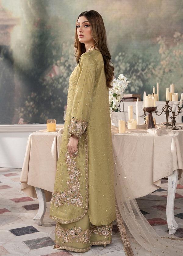 Haseens Official Sevgi Hayat Chiffon Collection