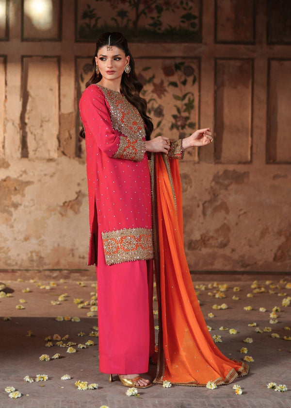 Haseens Official Jashan shocking Pink Chiffon Collection