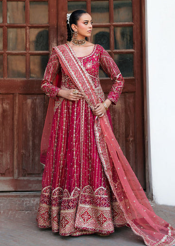 Haseens official Zariah Pink Chiffon Collection