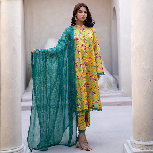 Regalia Identic IDSBDV1-3 Separates Lawn