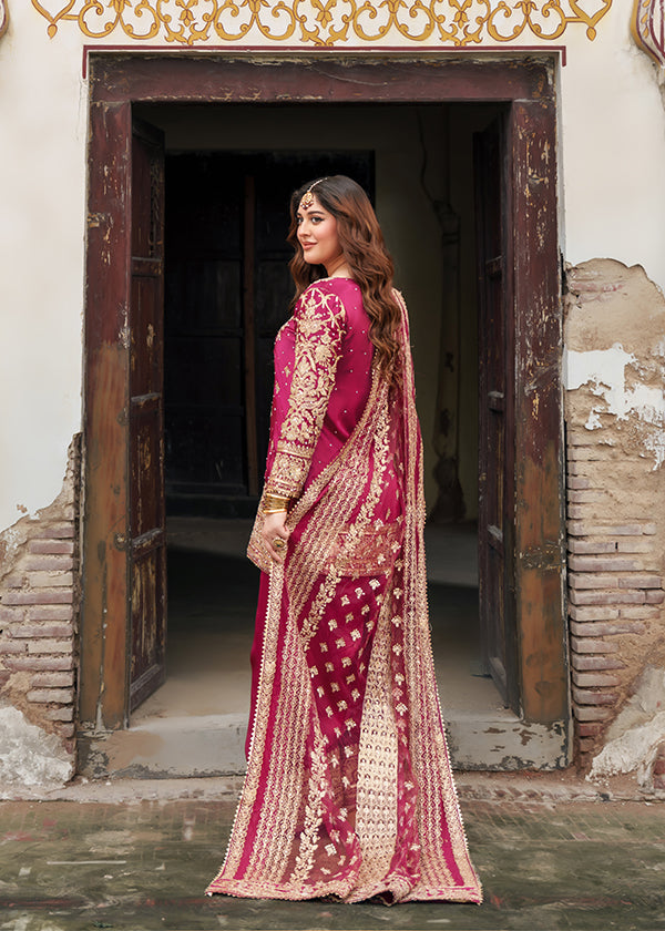 Haseens official Shocking Pink Ready to wear Chiffon Collection