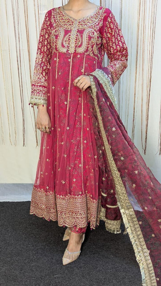 Sajni D-1 Red Festive Ready To Wear