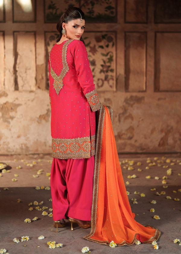 Haseens Official Jashan shocking Pink Chiffon Collection