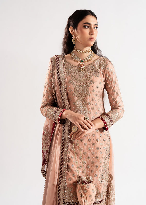 Haseens official Pink Ready to wear Chiffon Collection