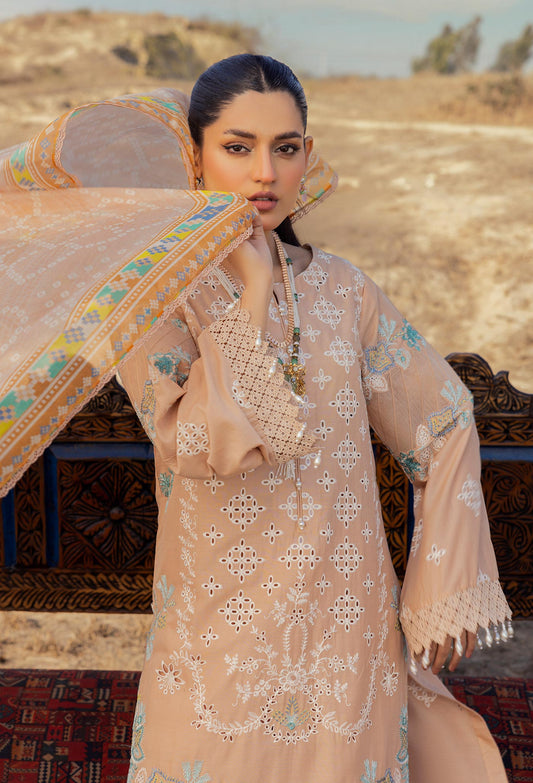Adan libas 03 Traditional Attire Lawn