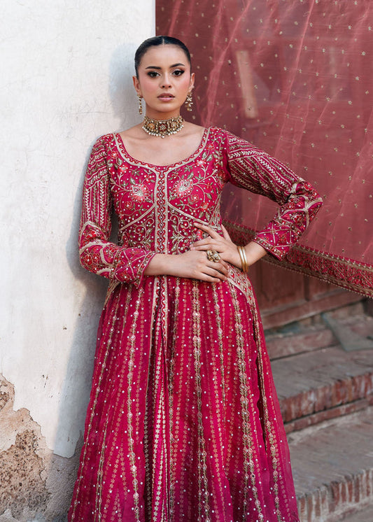 Haseens official Zariah Pink Chiffon Collection