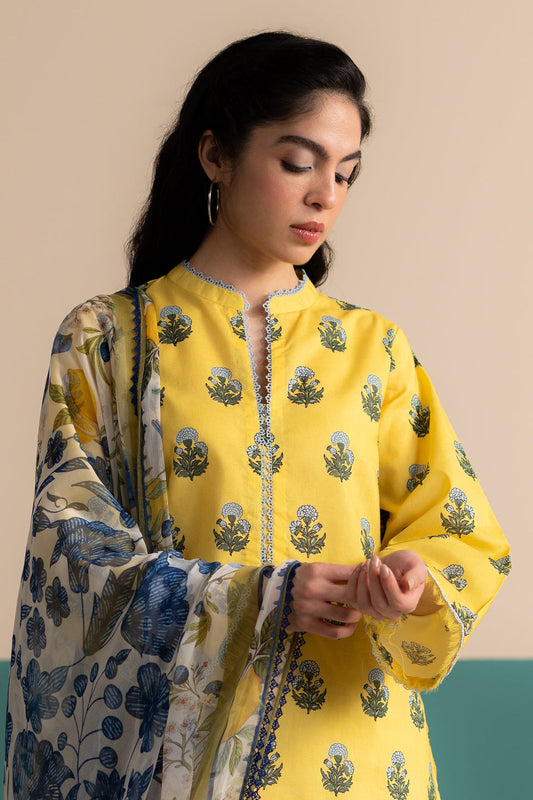 Coco by Zara shahjahan Zofi-4A Prints Edit III 25