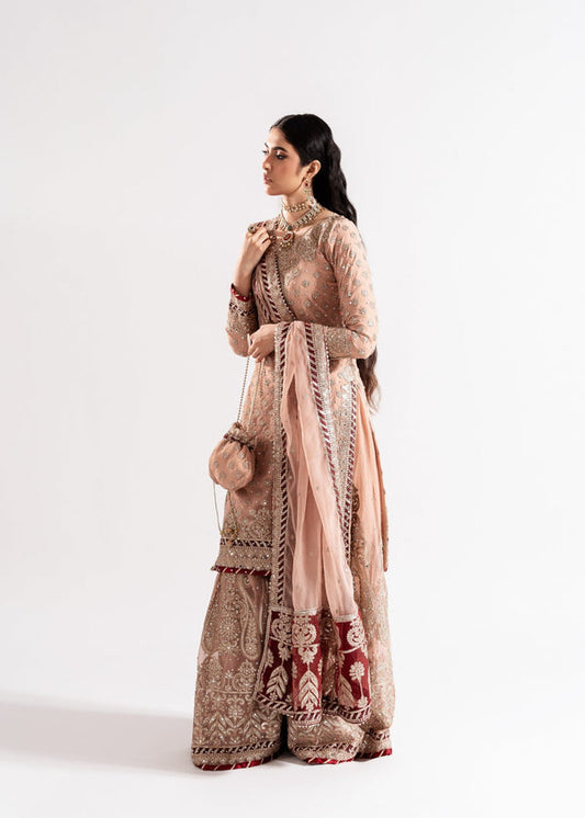 Haseens official Pink Ready to wear Chiffon Collection