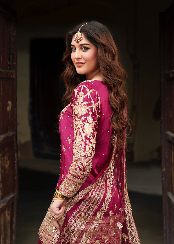 Haseens official Shocking Pink Ready to wear Chiffon Collection