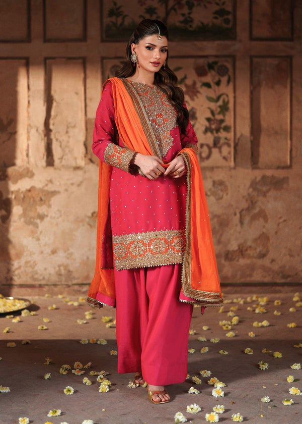 Haseens Official Jashan shocking Pink Chiffon Collection
