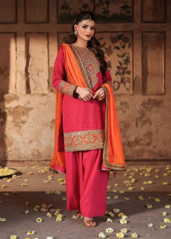 Haseens Official Jashan shocking Pink Chiffon Collection