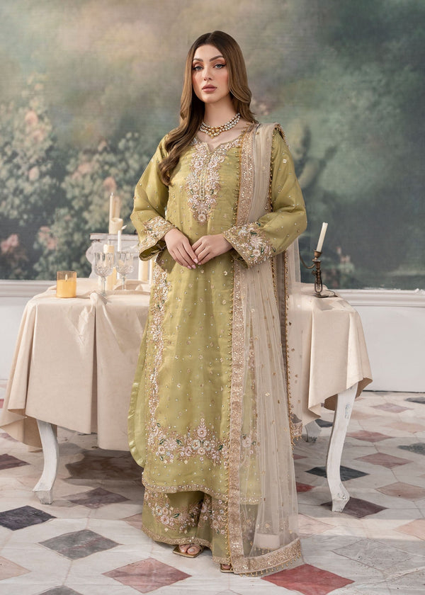 Haseens Official Sevgi Hayat Chiffon Collection